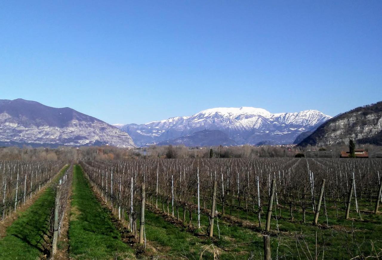 Cascina San Martino Bed & Breakfast Passirano Dış mekan fotoğraf